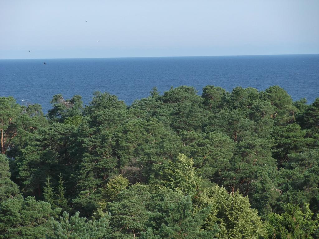 Resort - Rehabilitation Center Sanatorium Belorusija Jūrkalne Εξωτερικό φωτογραφία